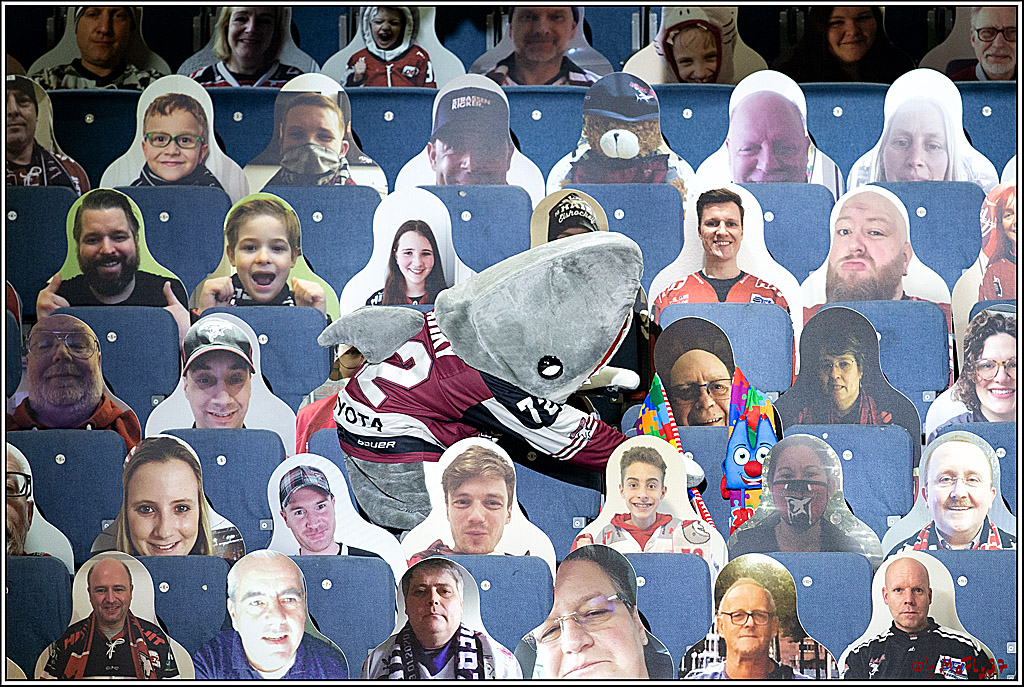 PENNY DEL;  Koelner Haie - Fischtown Pinguins Bremerhaven; Koeln, 12.02.2021